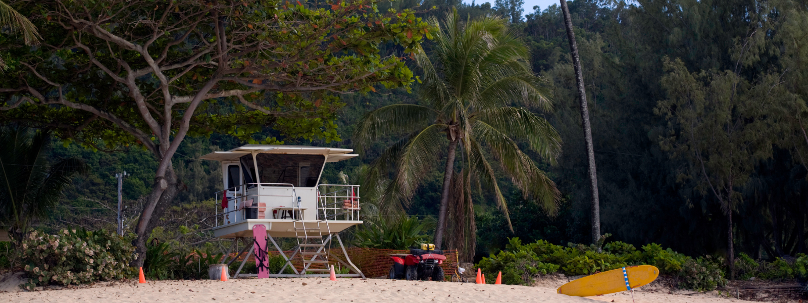 The file shows a Hawaiian beach with a lifeguard tower. Palm trees are visible in the background, but there is no beach in the scene, focusing on the tower and the lush greenery of the palm trees. The setting has a tropical, serene feel.