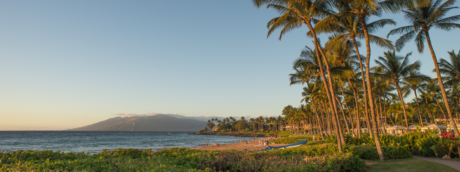 A stunning Hawaiian scene featuring a lush landscape with vibrant green palm trees, colorful tropical flowers, and towering mountains in the distance. The sky is clear and blue, with soft sunlight illuminating the serene, picturesque setting.