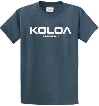 Steel Blue / White logo