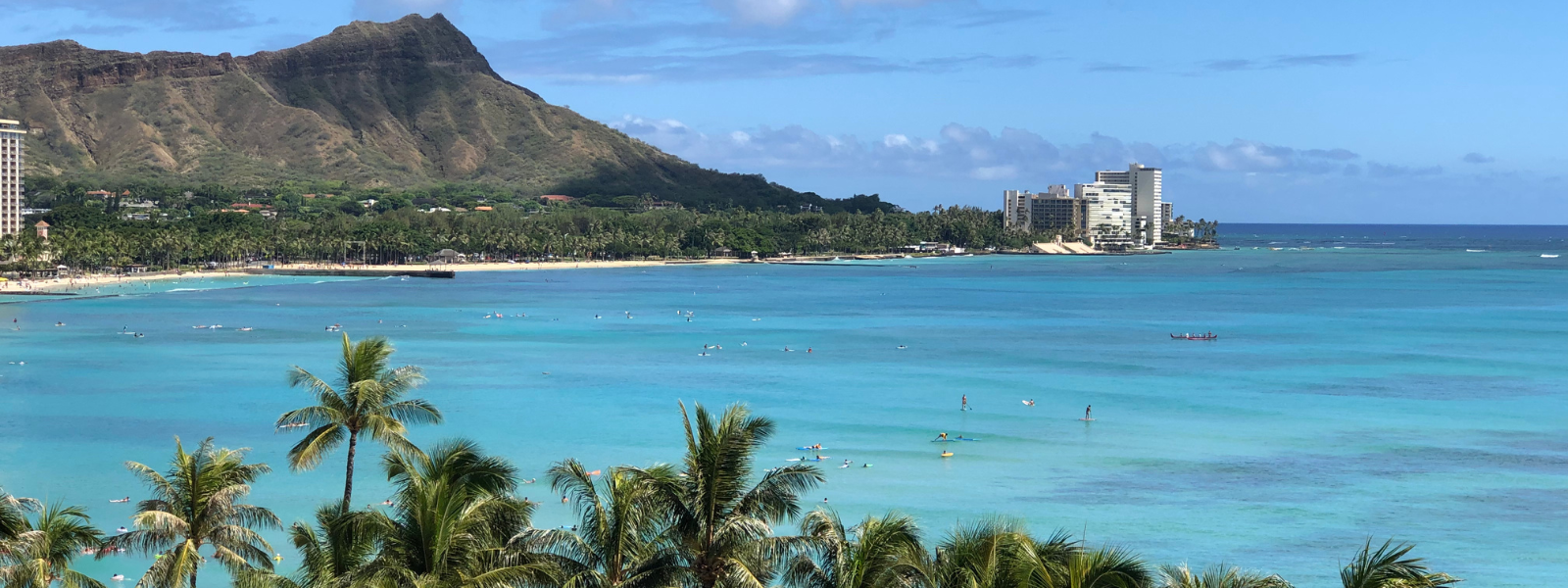 A vibrant image of Hawaiian scenery featuring a lush green landscape with palm trees swaying in the breeze. The ocean sparkles under a clear blue sky, and the sun casts a golden glow over sandy beaches, creating a serene and tropical atmosphere.