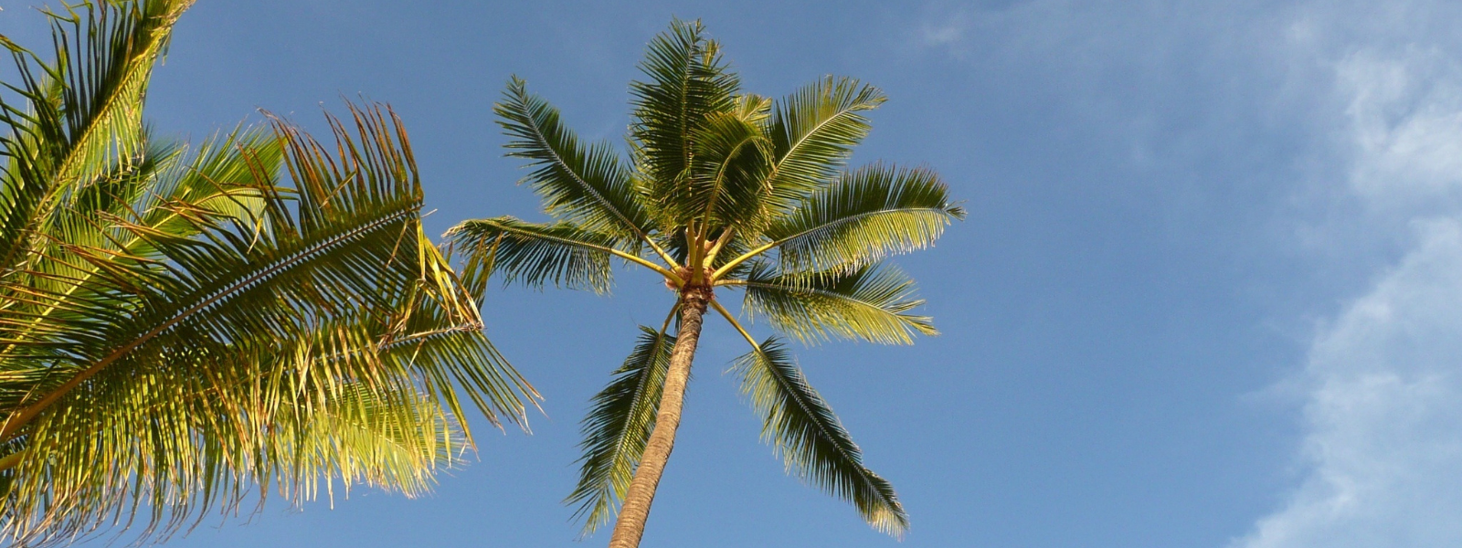 Side by side image shows two men standing on the beach, both wearing Koloa windbreakers, blending style and functionality against the coastal breeze.